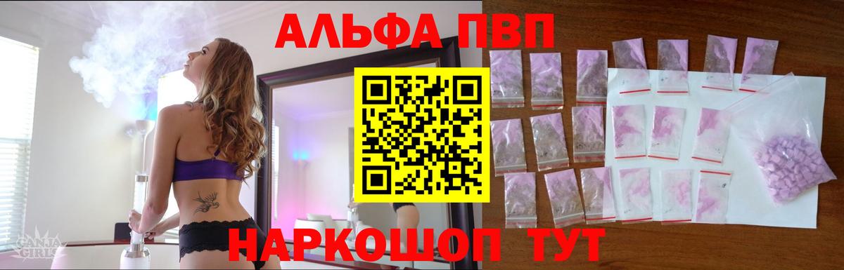 Альфа ПВП СК КРИС Рубцовск