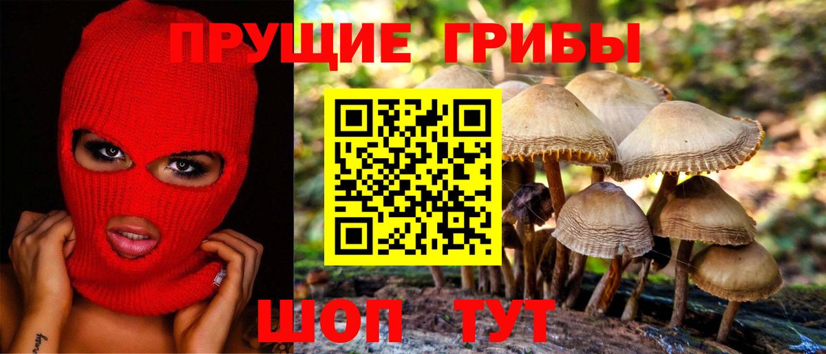Псилоцибиновые грибы мухоморы Рубцовск